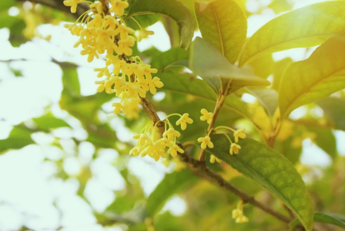 291761744176195739.png image.png